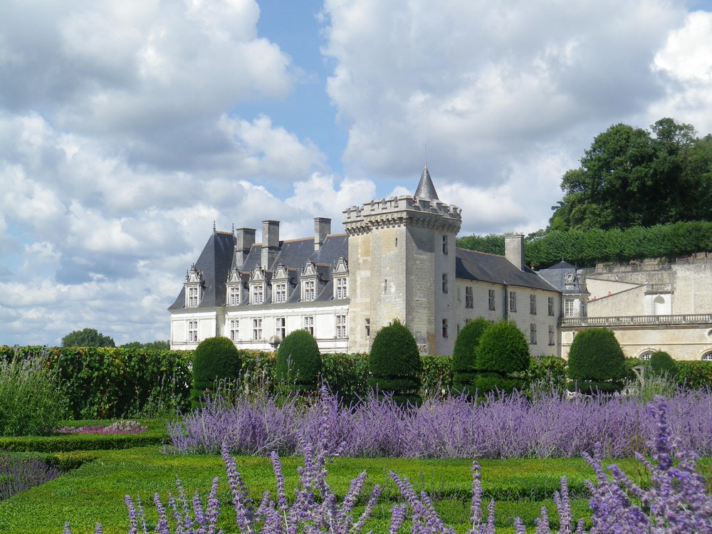 Actividades Turísticas en Amboise