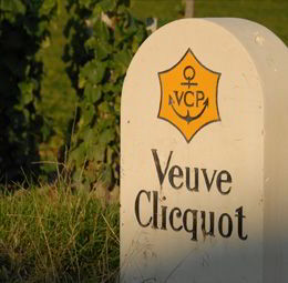 France Intense Group: Private Champagne Tour with Veuve Clicquot and a Local Winery — Champagne — Reims, Épernay & the Côte des Blancs - Photo 3