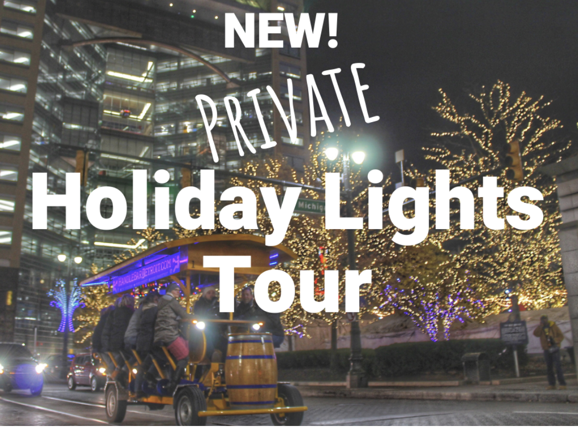 Private Group HandleBar Holiday Lights Tour (on an ElectricAssisted