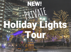 Private Group HandleBar Holiday Lights Tour (on an Electric-Assisted HandleBar Bike!)