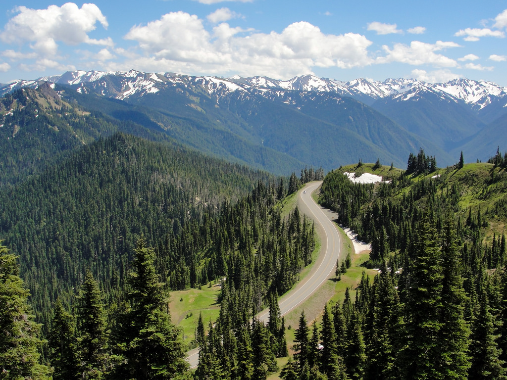 Majestic Landscapes of Olympic & Rainier