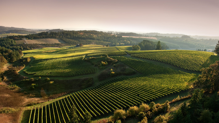 Wine Tasting in Northwest Grandeur