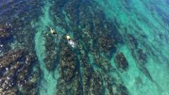 Guided Beach Snorkelling Tour
