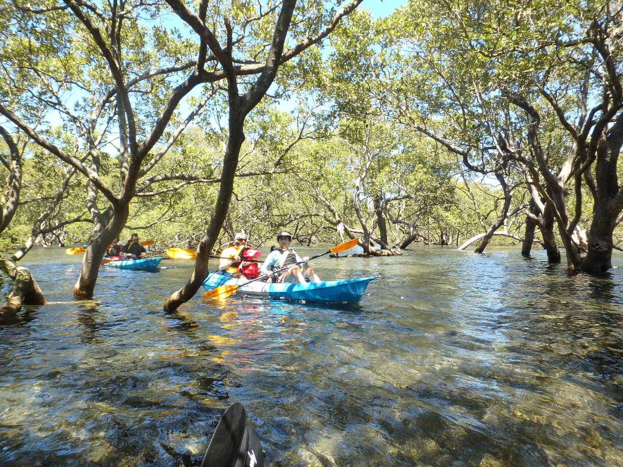 Guided Sit On Top Kayak Tour, Huskisson