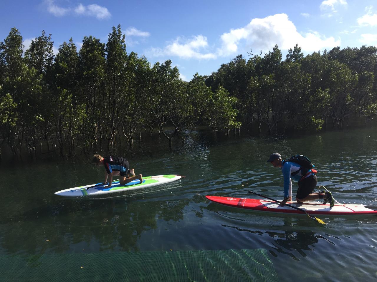 Private SUP Lesson and Tour