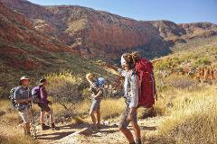 Alice Springs to Ellery Creek or Serpentine Gorge