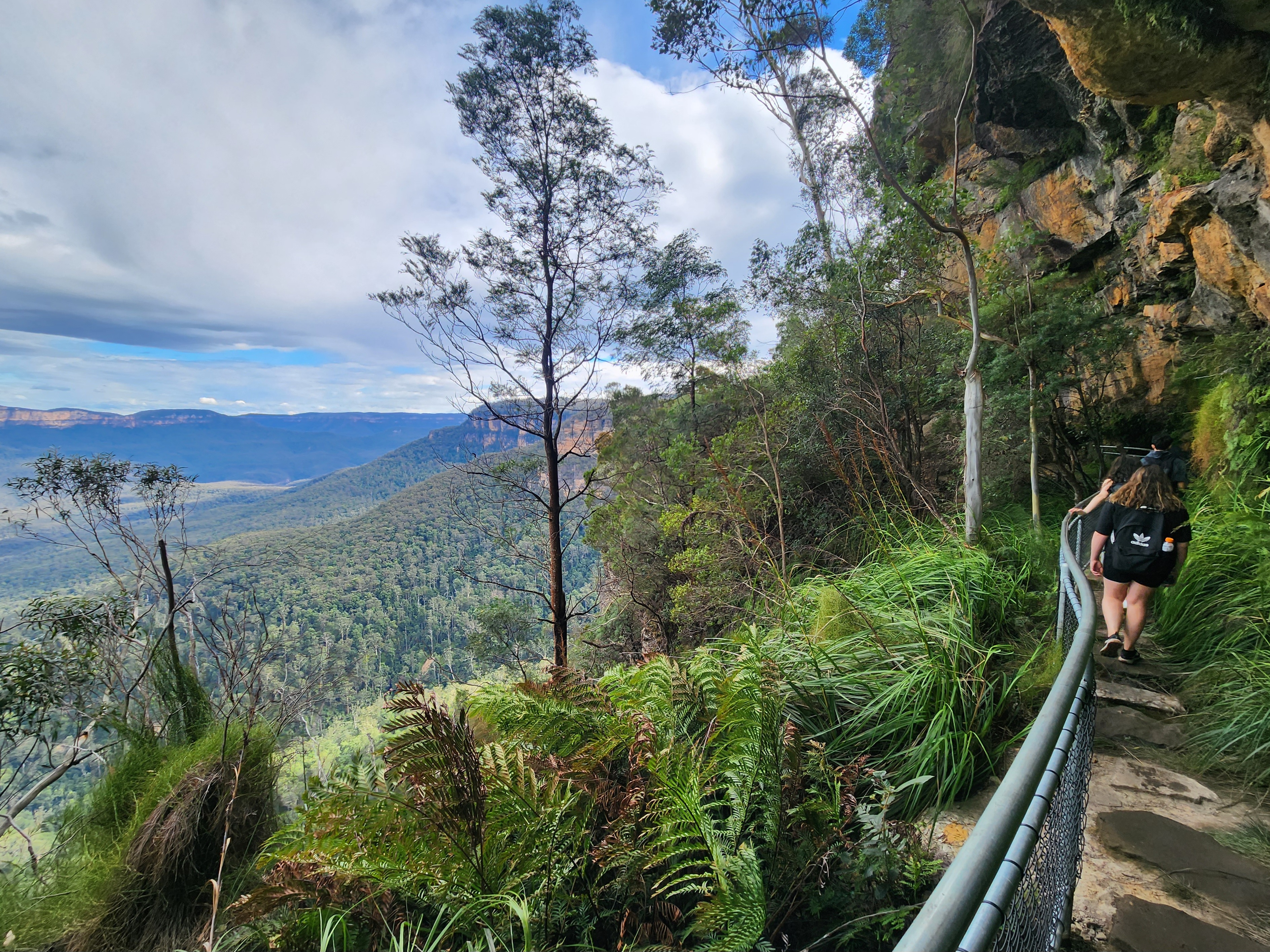 Blue Mountains Full Day Adventure with Waterfall Nature Walk | Lunch included