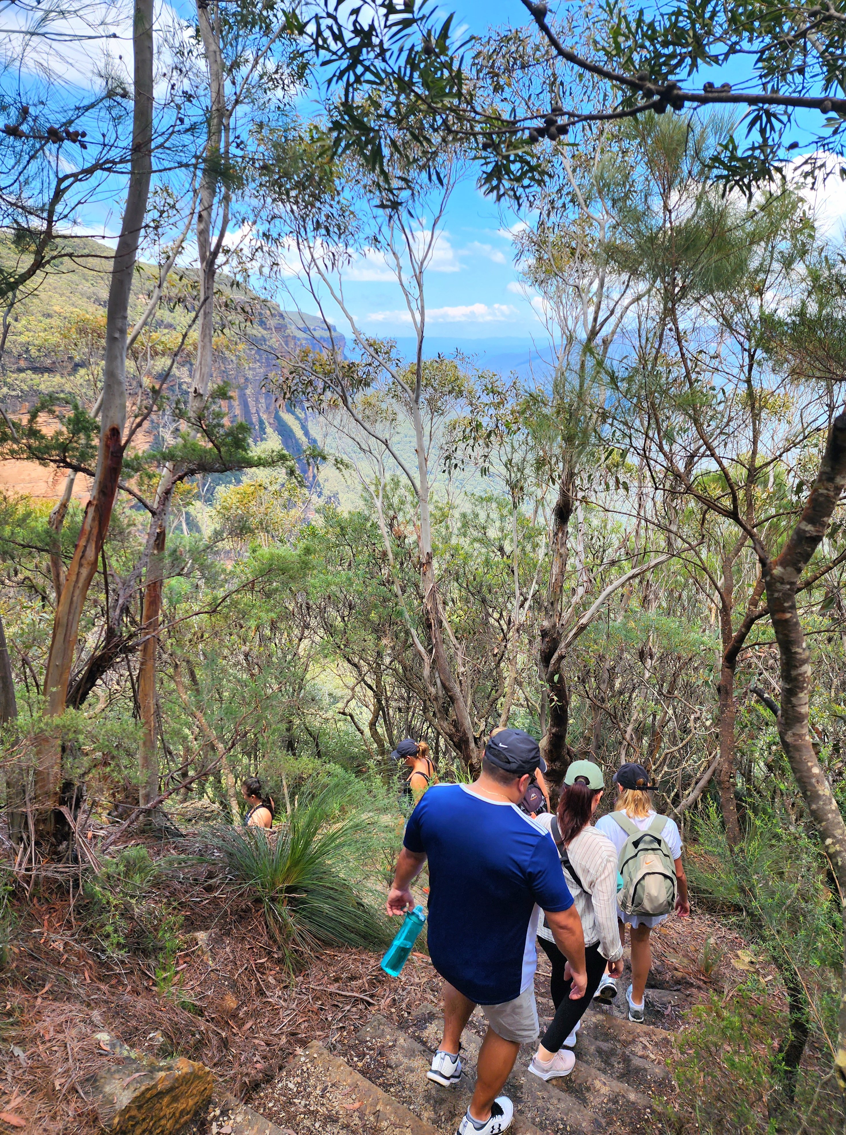Blue Mountains Full Day Adventure with Waterfall Nature Walk | Lunch included