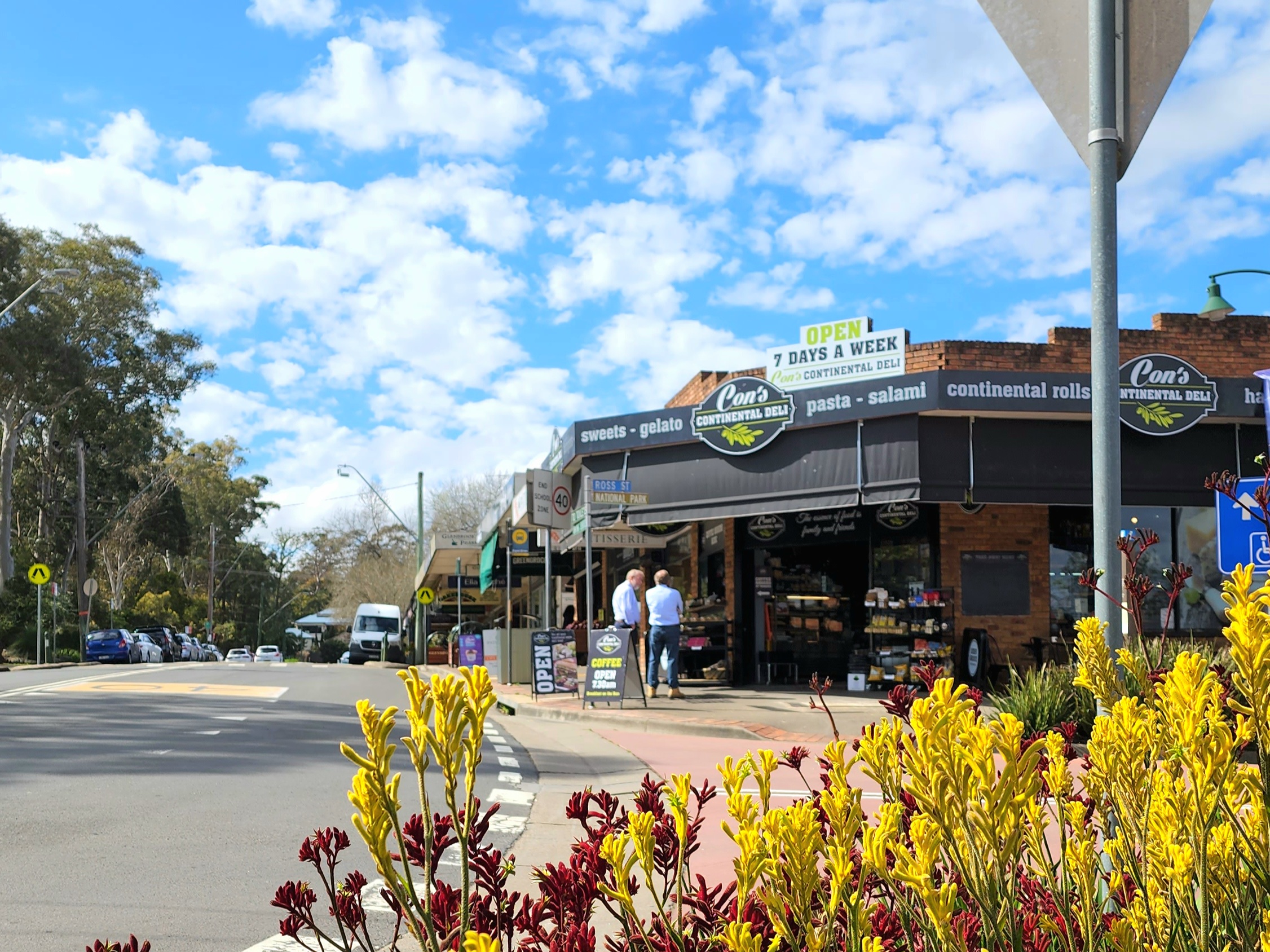 Blue Mountains Full Day Adventure with Waterfall Nature Walk | Lunch included