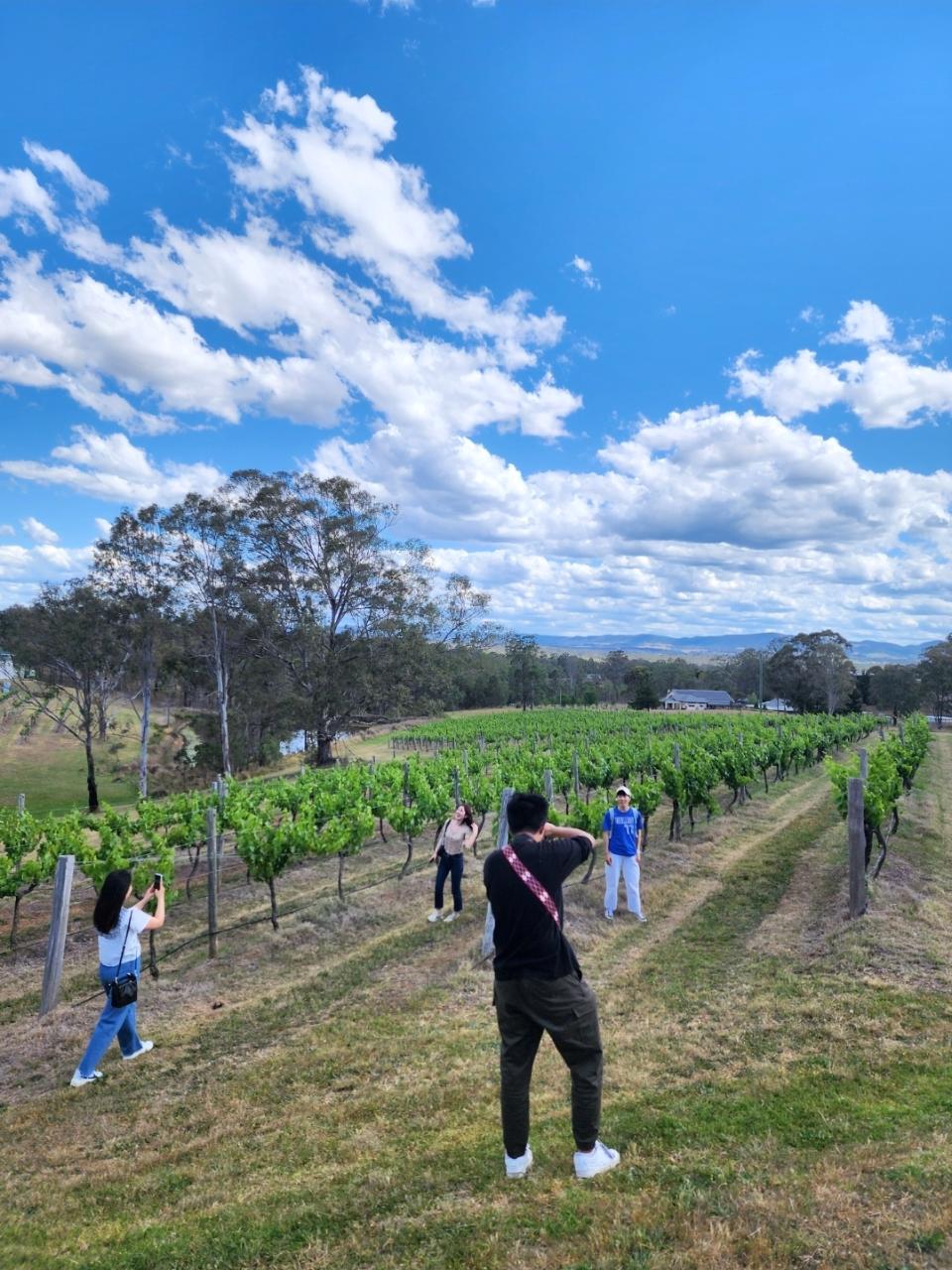 Private: Hunter Valley Wine Tour 7-28 persons | Your Way