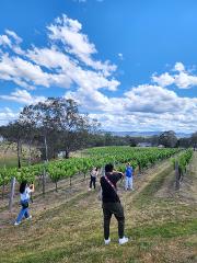 Private: Hunter Valley Wine Tour 7-28 persons |  Your Way 