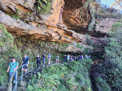 Blue Mountains Full Day Adventure with Waterfall Nature Walk | Lunch included