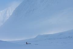 Lapland Dog Sledging Expedition
