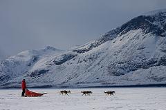 With dog sled to the gate of Sarek National Park