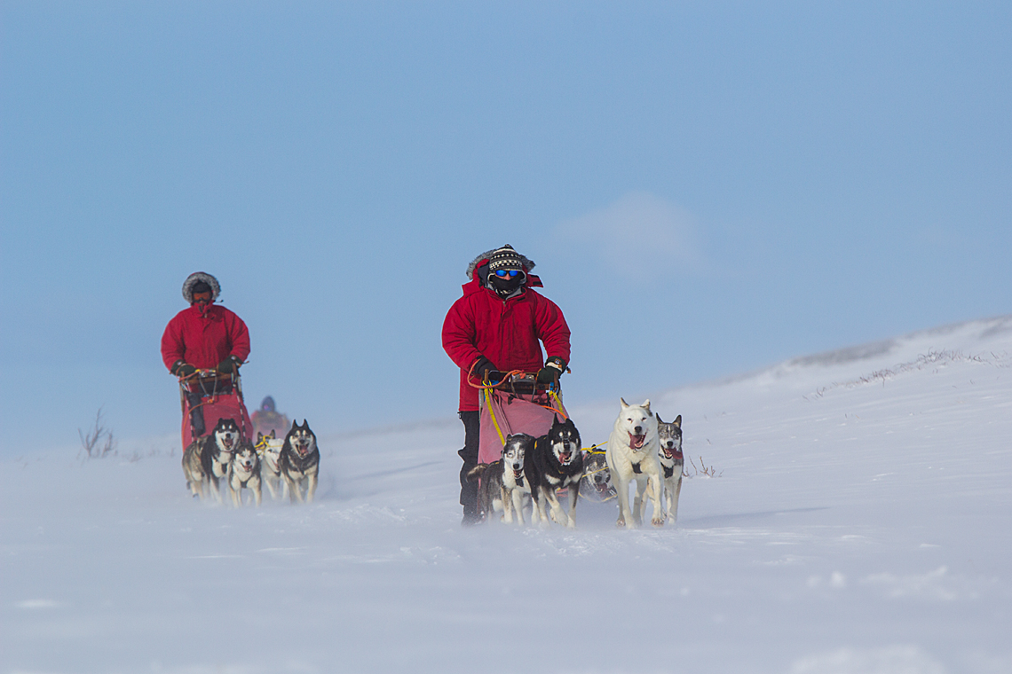 Dog Sledding Expedition - Border Mountains to Jokkmokk, 12 Days