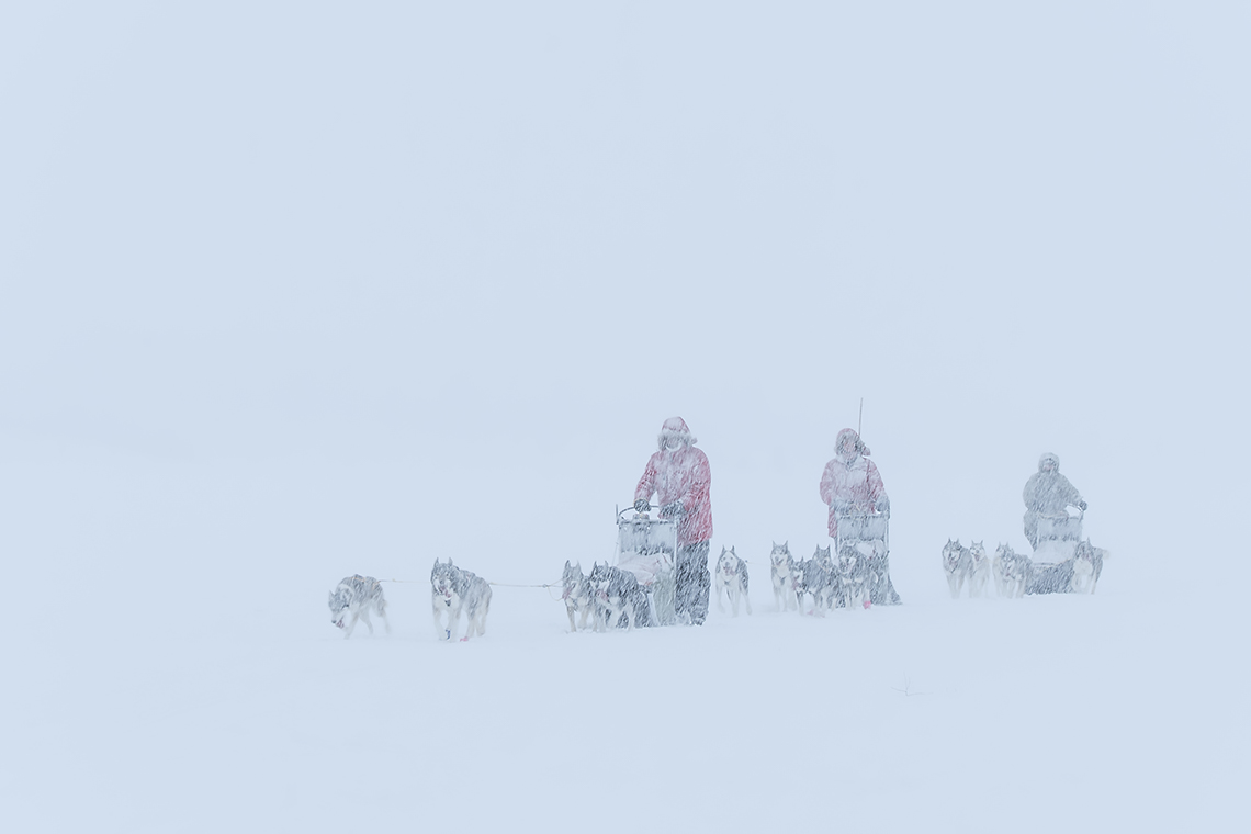 Dog Sledding Expedition – Jokkmokk to the Border Mountains, 12 Days
