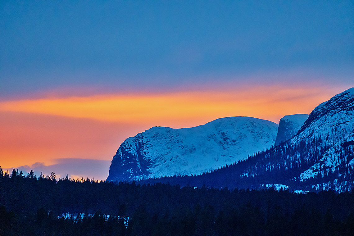 Dog Sledding Adventure – High Mountains & Deep Forests