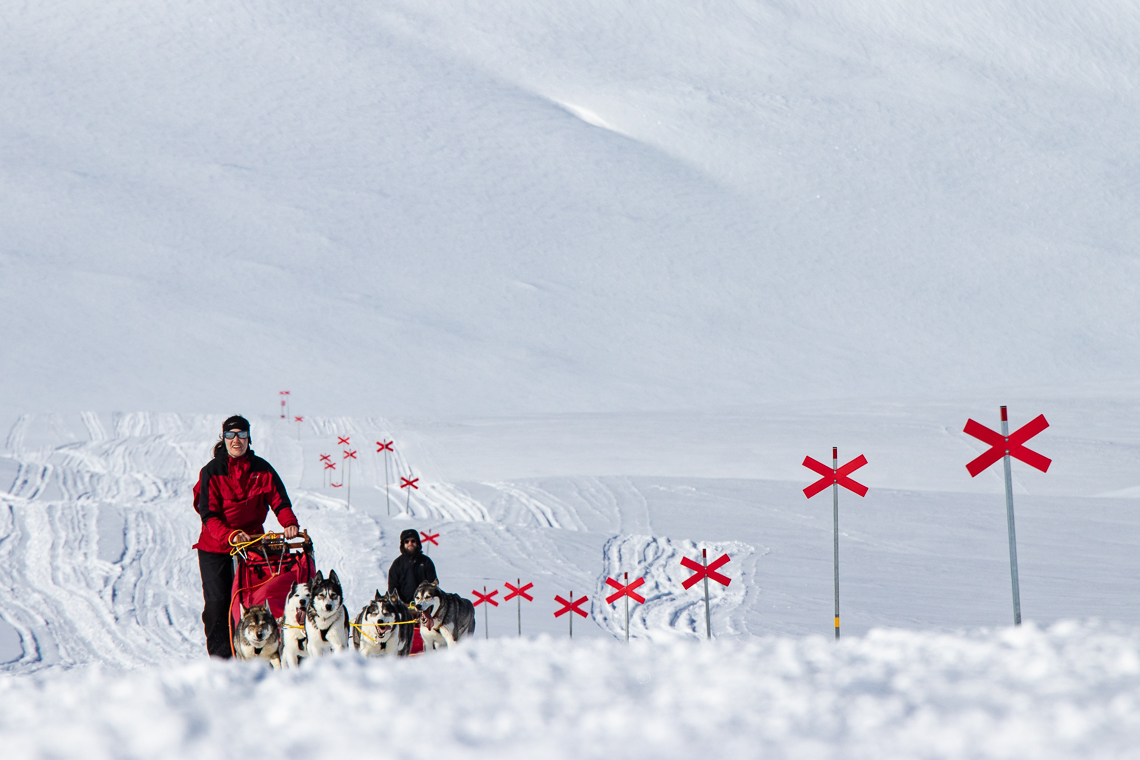 Dog Sledding Expedition - Kebnekaise & Sjaunja, 12 days