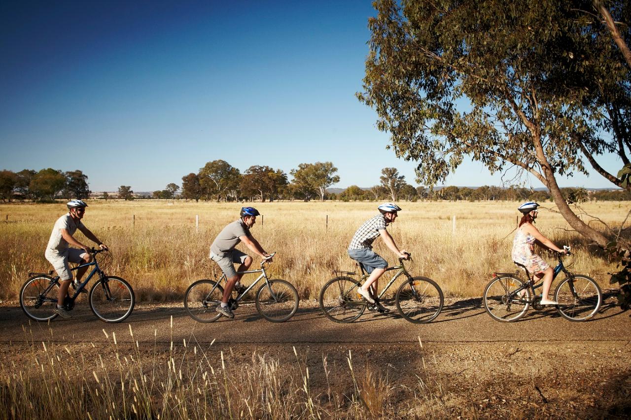 Beechworth cycle downhill - self guided