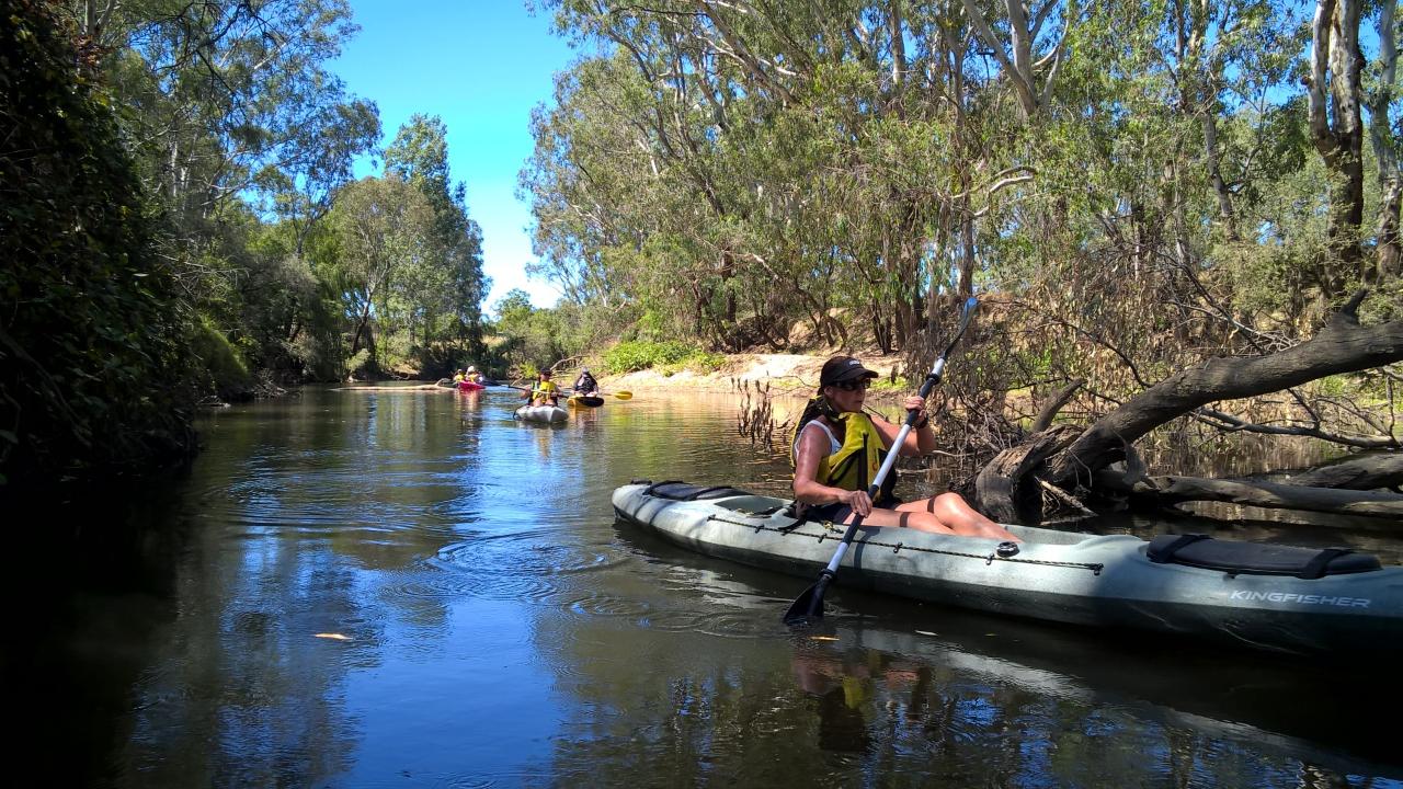 Kayak the Ovens River - Billabongs Launch - Self Guided