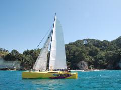 Boom Sailing Gift Voucher Afternoon Trip