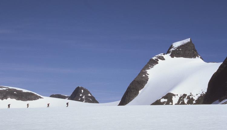 Lodalskåpa