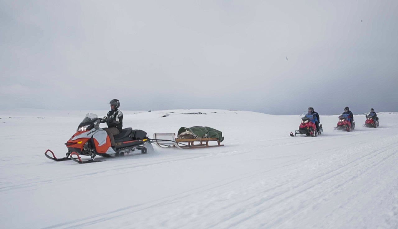 Full day Snowmobile Safari on the arctic tundra