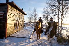 Winter week on horseback (7 days)