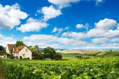 Champagne 13H Private Tour Minibus 8 pax