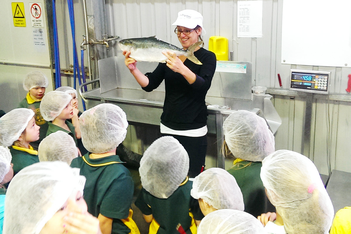 Behind the Scenes Seafood Factory Tour