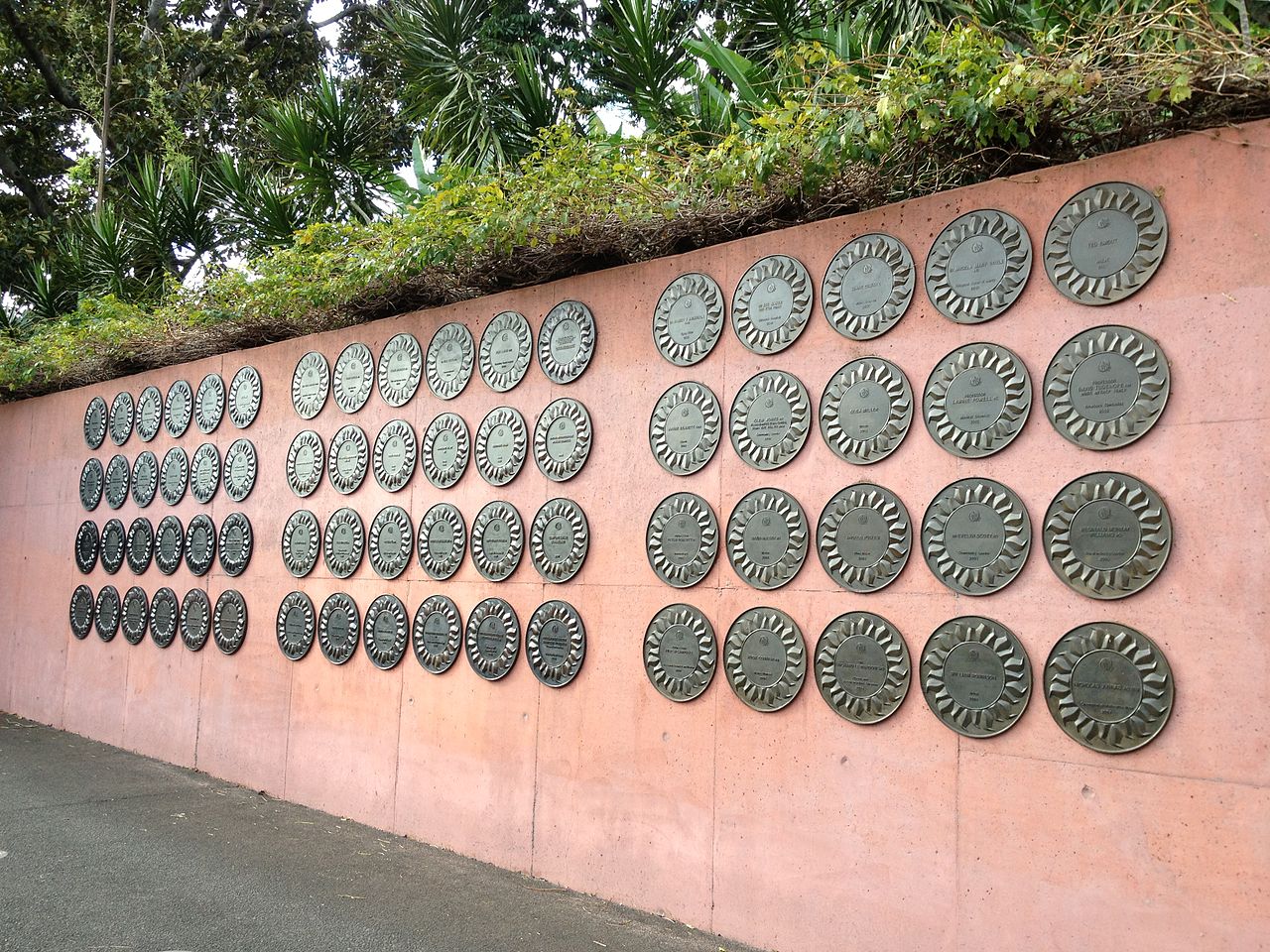 Brisbane Aboriginal Cultural Tours - Meanjin (Brisbane City)  90 minutes