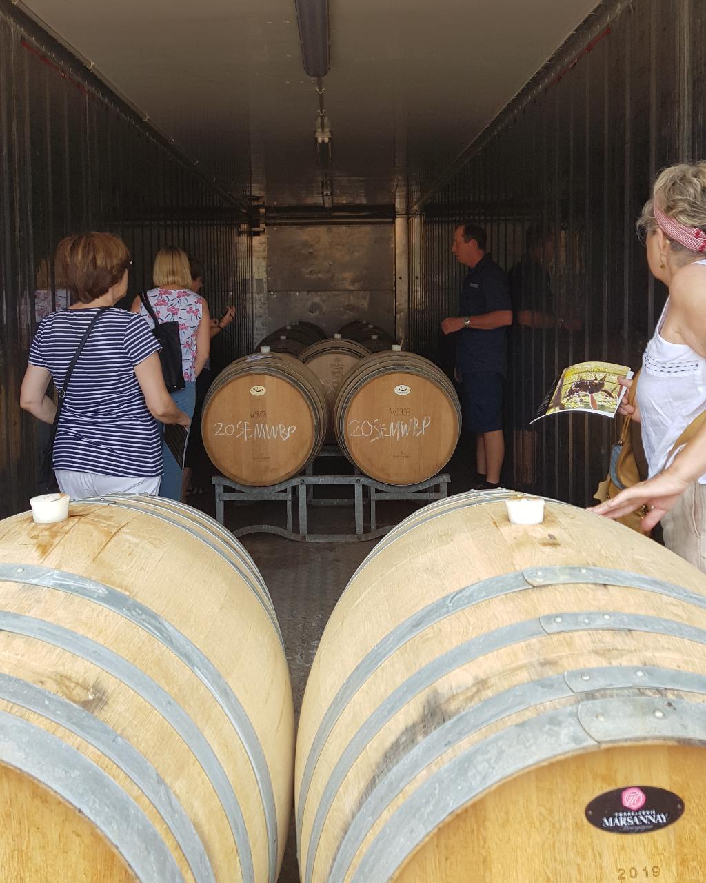 All About Margaret River: Wine and Hike Full Day Tour — Margaret River - Photo 4