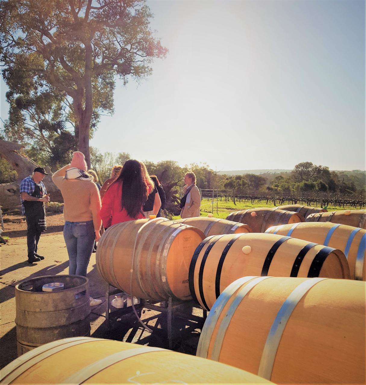All About Margaret River: Wine and Hike Full Day Tour — Margaret River - Photo 6
