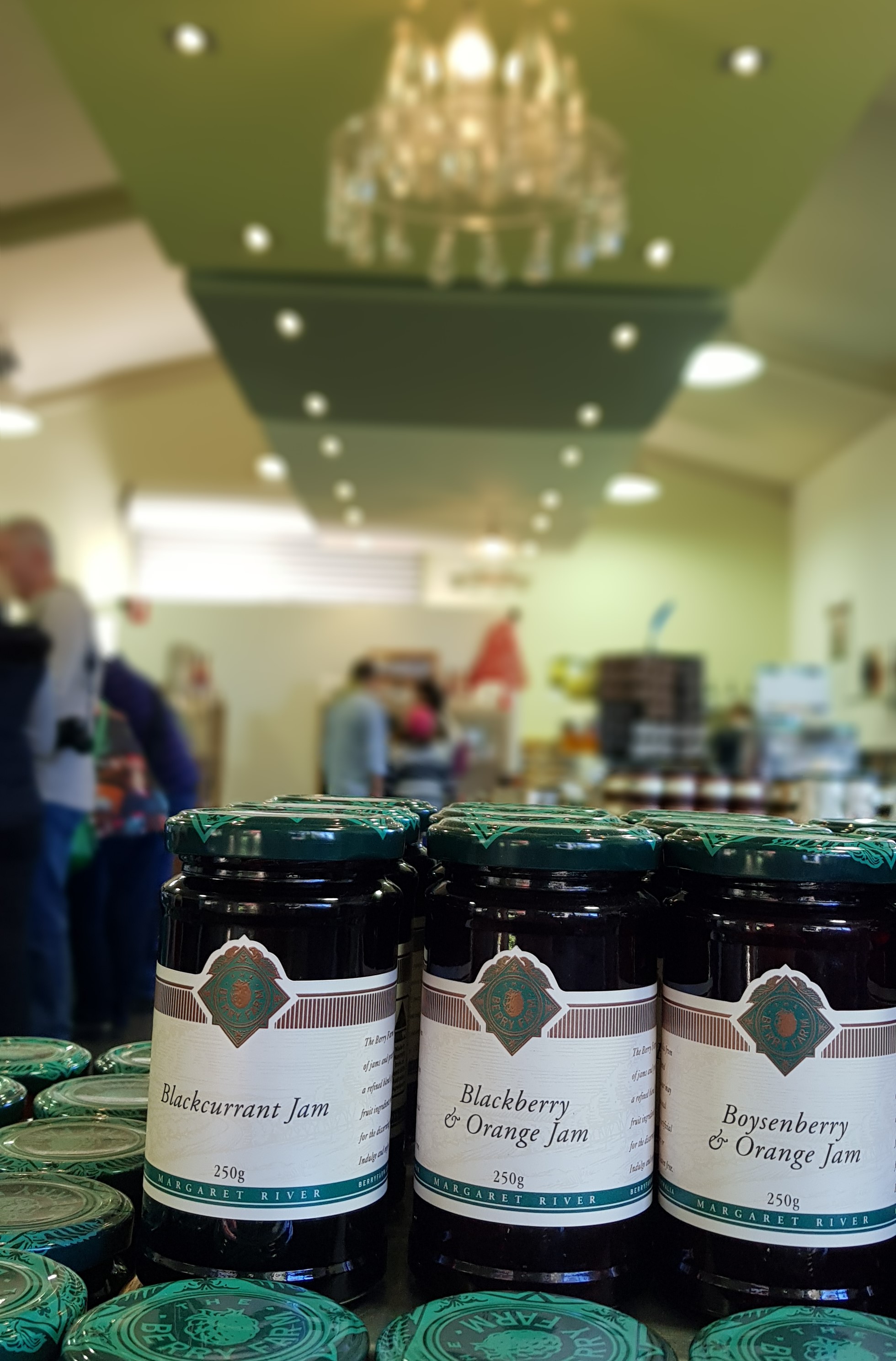 5 Hour Half Day Tour: Coffee & Olive Tastings, Wineries, Forest & Lunch