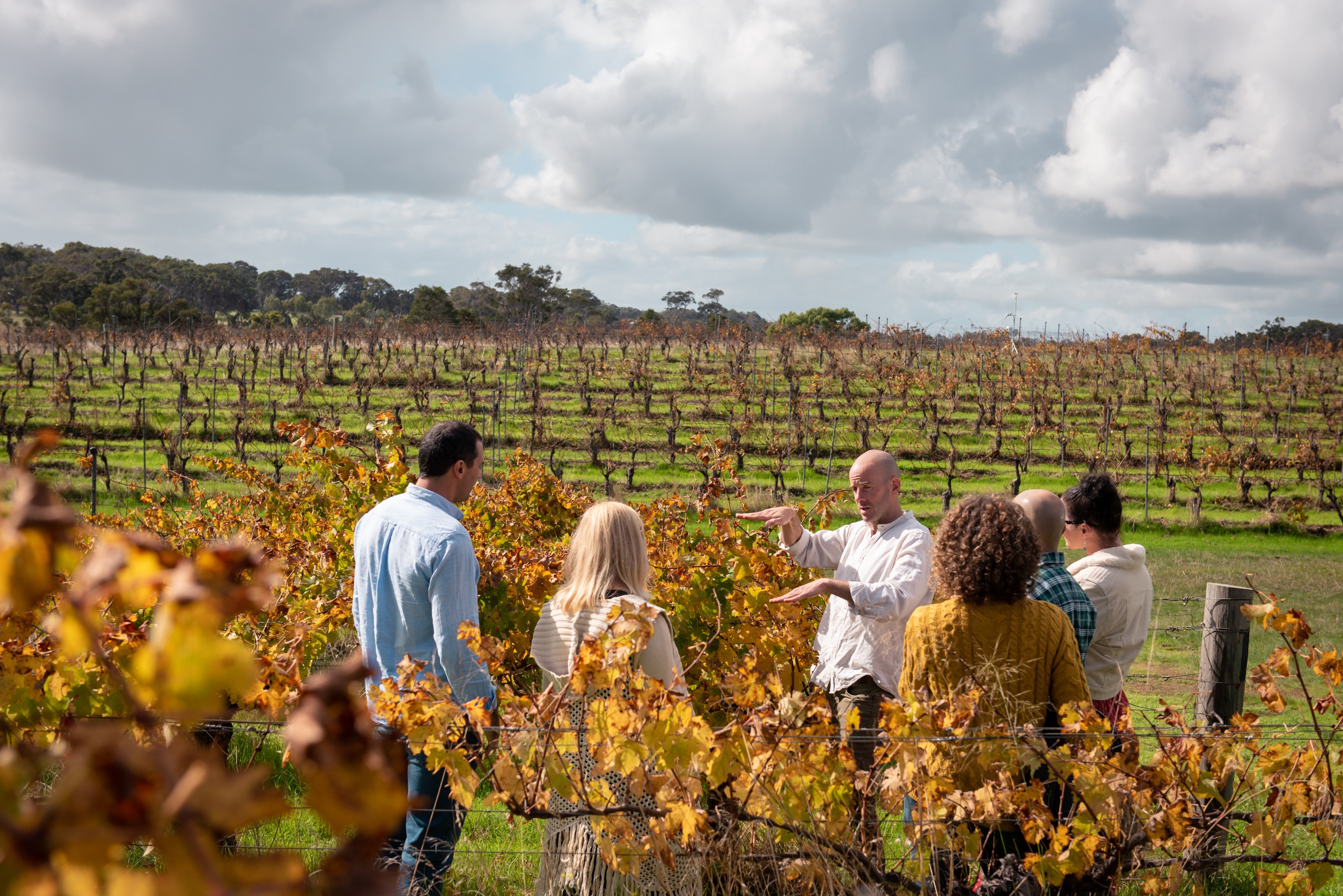 Full Day Wine & All About It Tour: Scones, Chocolate, Wineries, Lunch & More!