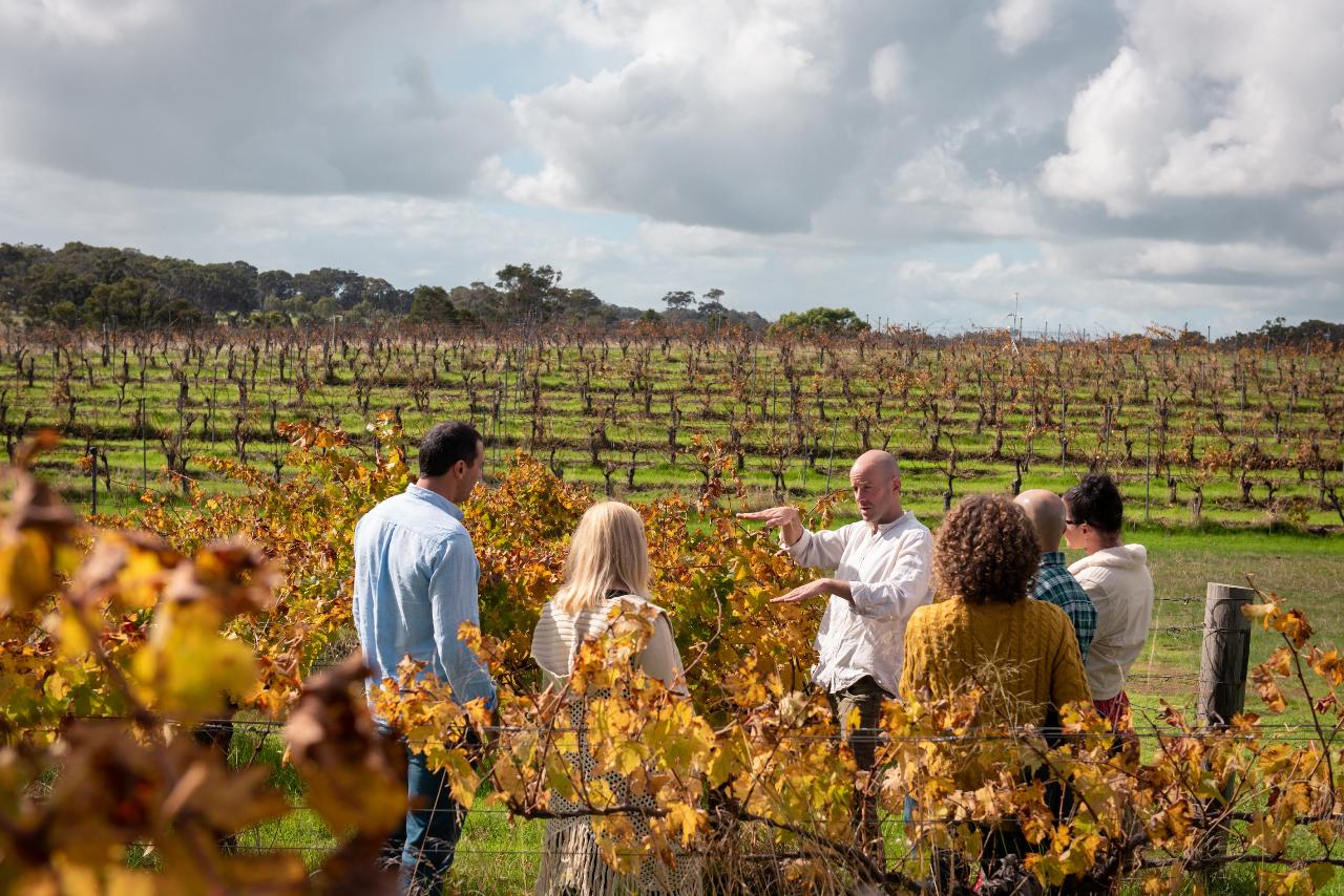 Hidden Gems: Full-Day Wine, Scones, Local Produce and Nature Tour