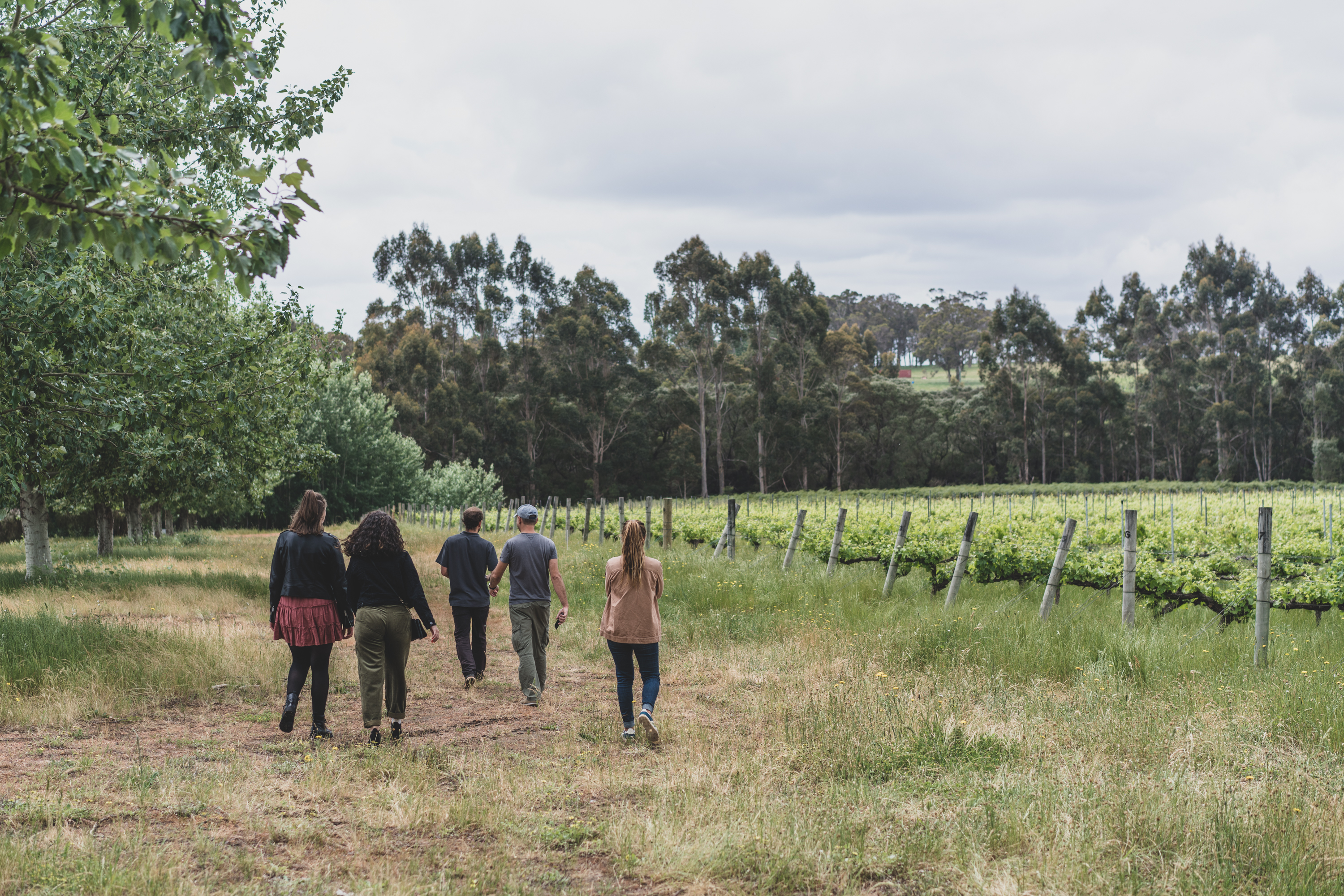 The All About Margaret River Tour: Wine, Coffee, Lunch and Forest