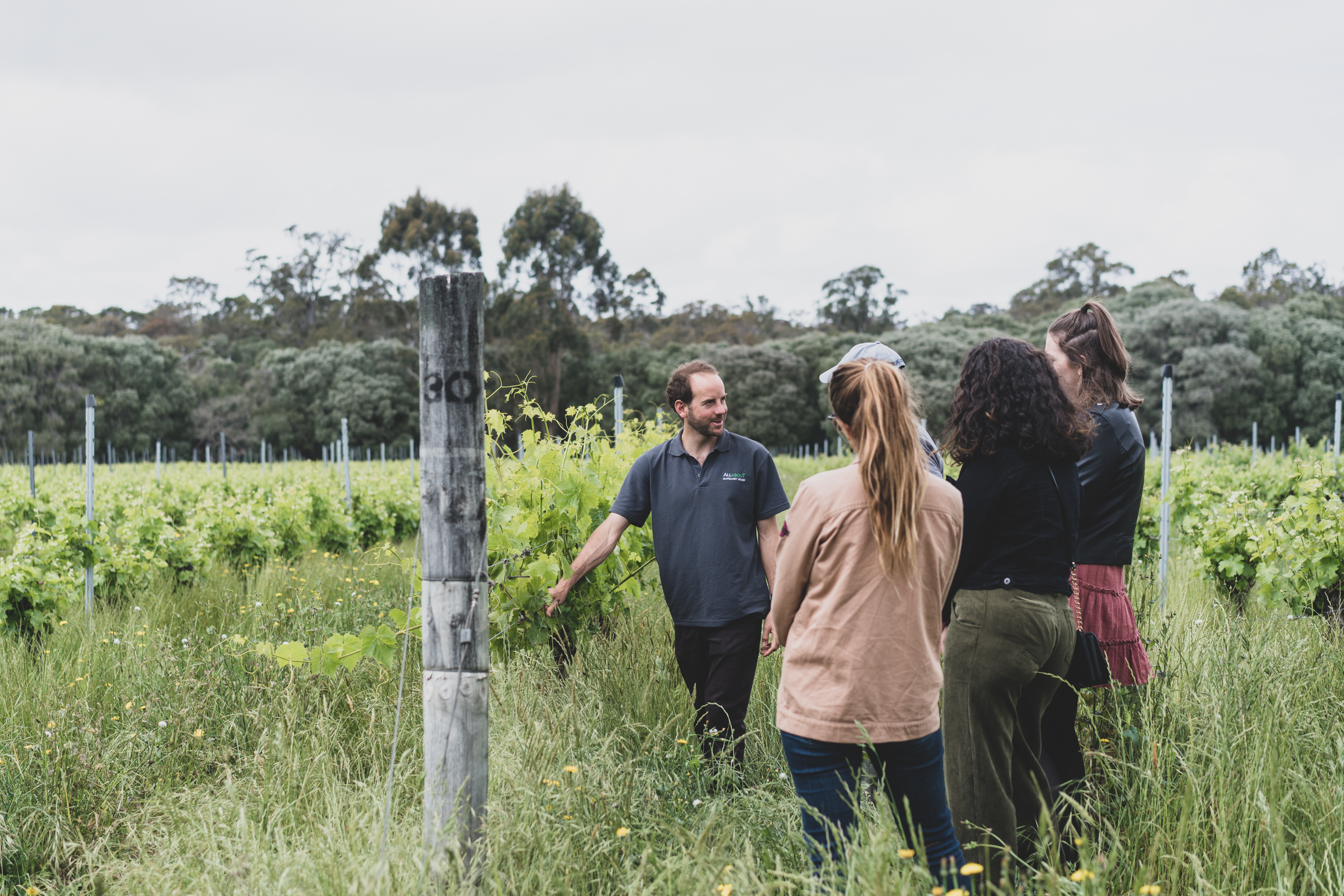 The All About Margaret River Tour: Wine, Coffee, Lunch and Forest