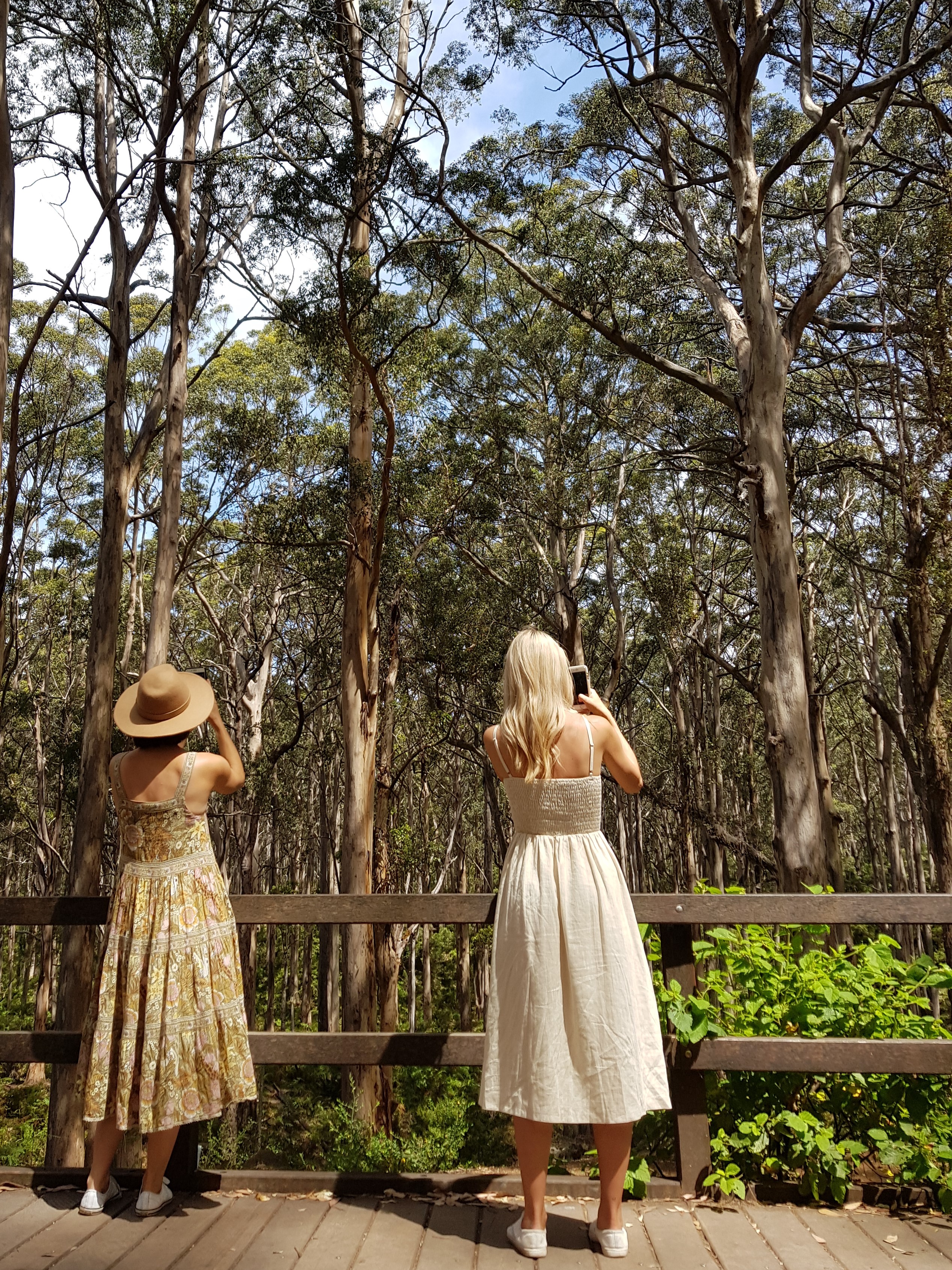 5 Hour Half Day Tour: Coffee & Olive Tastings, Wineries, Forest & Lunch