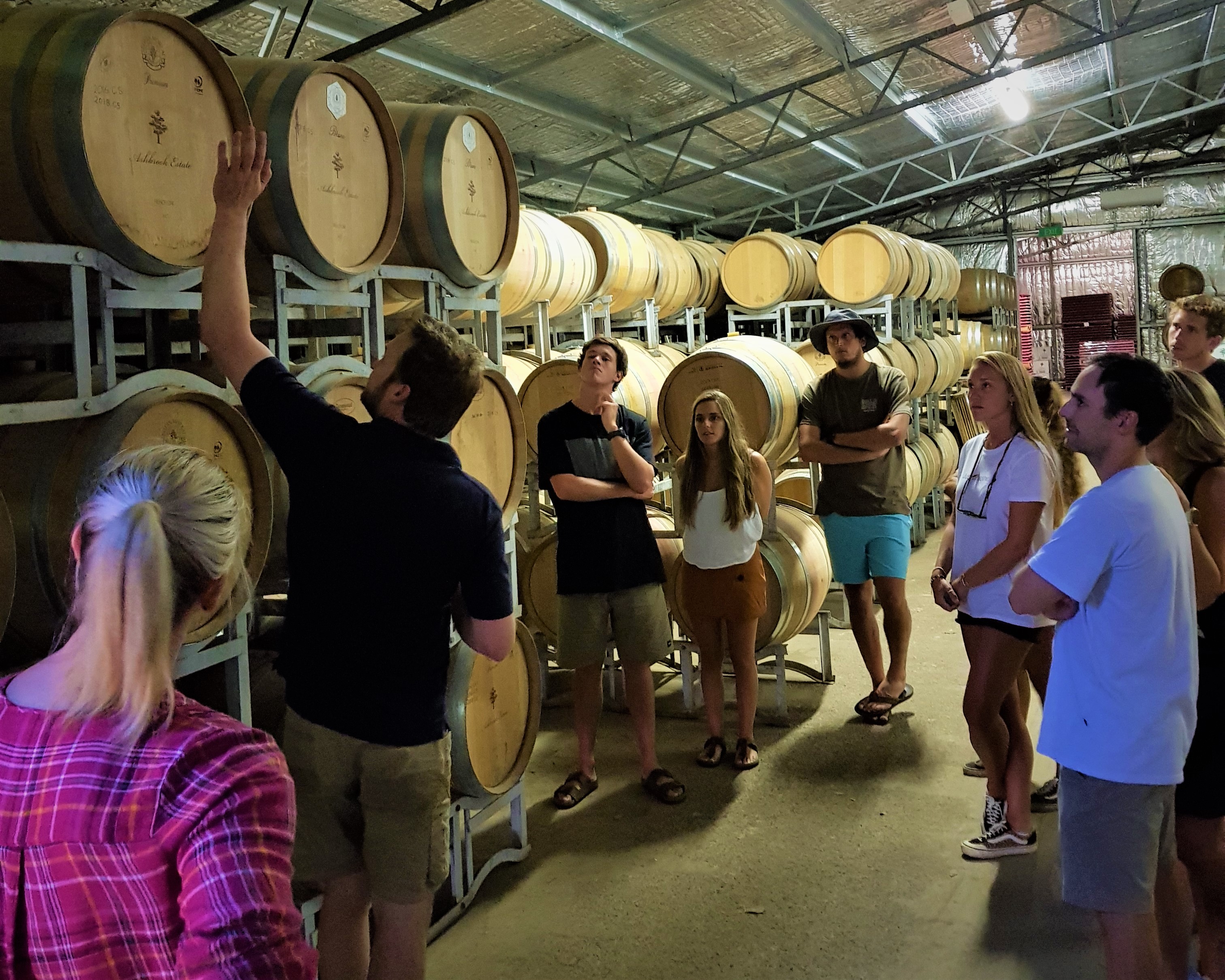 5 Hour Half Day Tour: Coffee & Olive Tastings, Wineries, Forest & Lunch