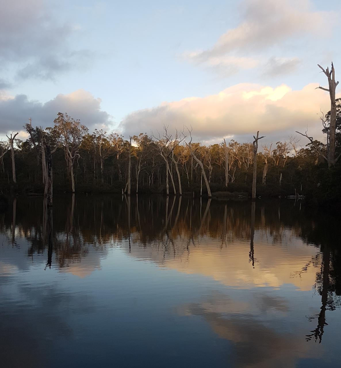 All About Margaret River: Wine and Hike Full Day Tour — Margaret River - Photo 3