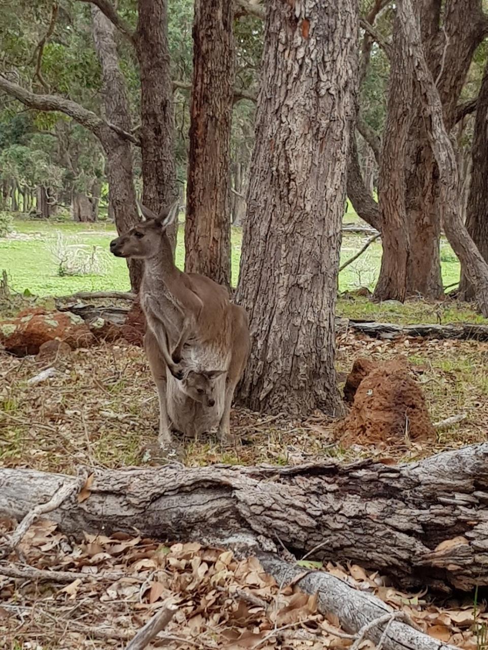 All About Margaret River: Wine and Hike Full Day Tour — Margaret River - Photo 1