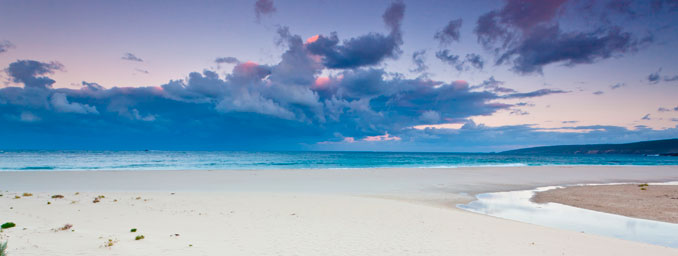 5 HOUR SOUTHERN SPECTACLE INCLUDING BEACHES, KARRI FOREST, WINERIES & LUNCH