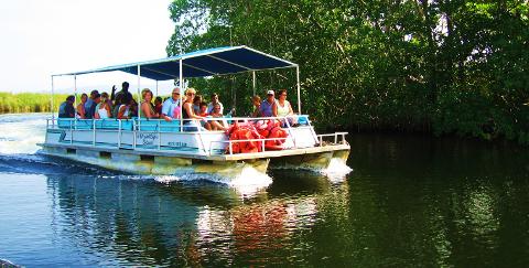 Black River Safari and Southcoast.