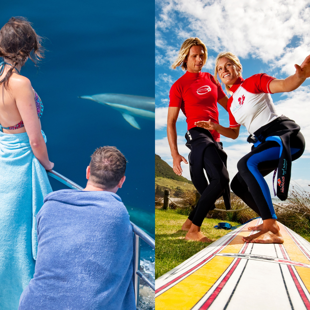 Surf and Swim  - Dolphin Swim and Surf Lesson Package