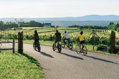 Discover Quebec City on ebike - 3 nights / 3 bike tours ( Lodging & Tours ) 