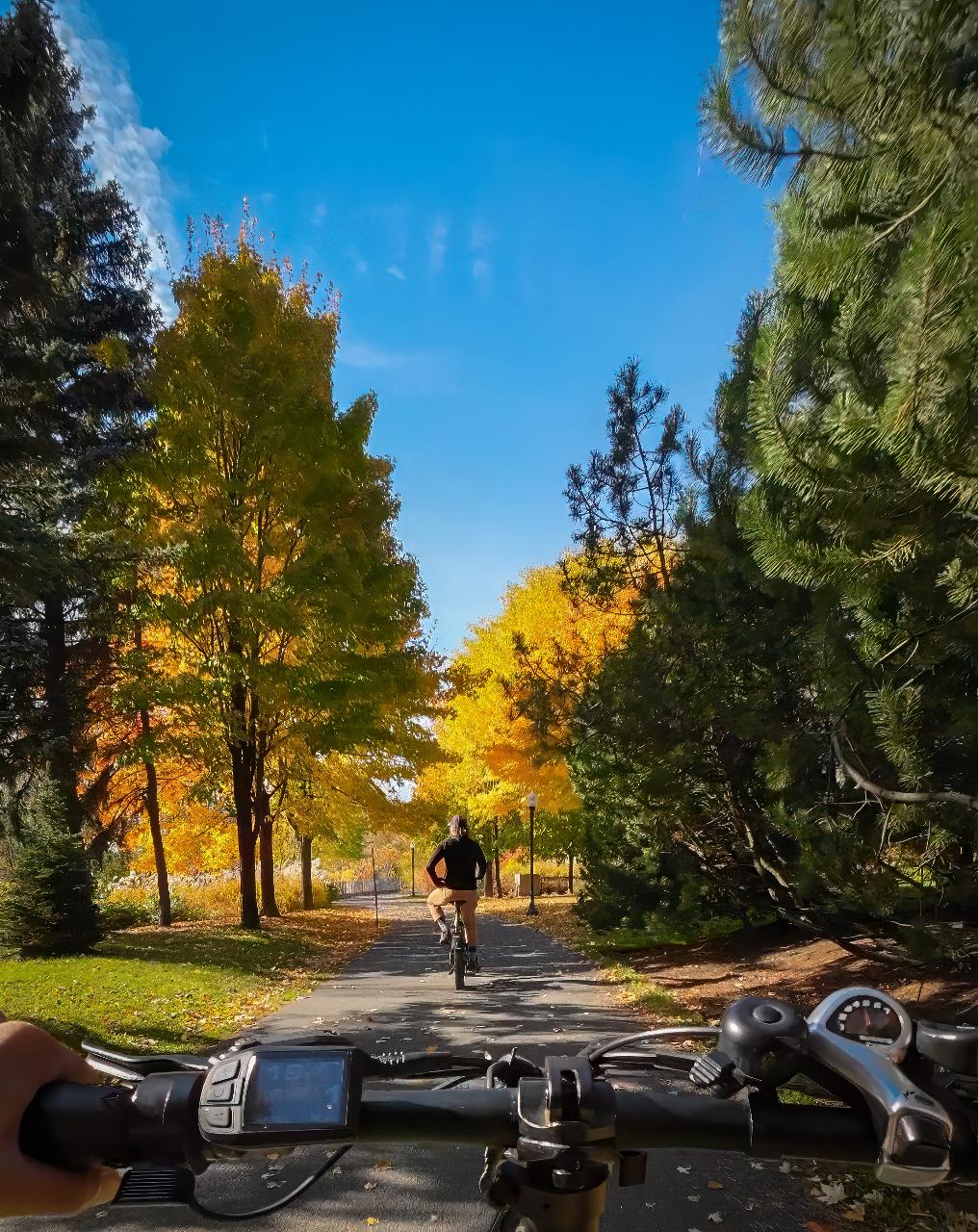Quebec City: Ebike Rental in Quebec City / Location vélo électrique