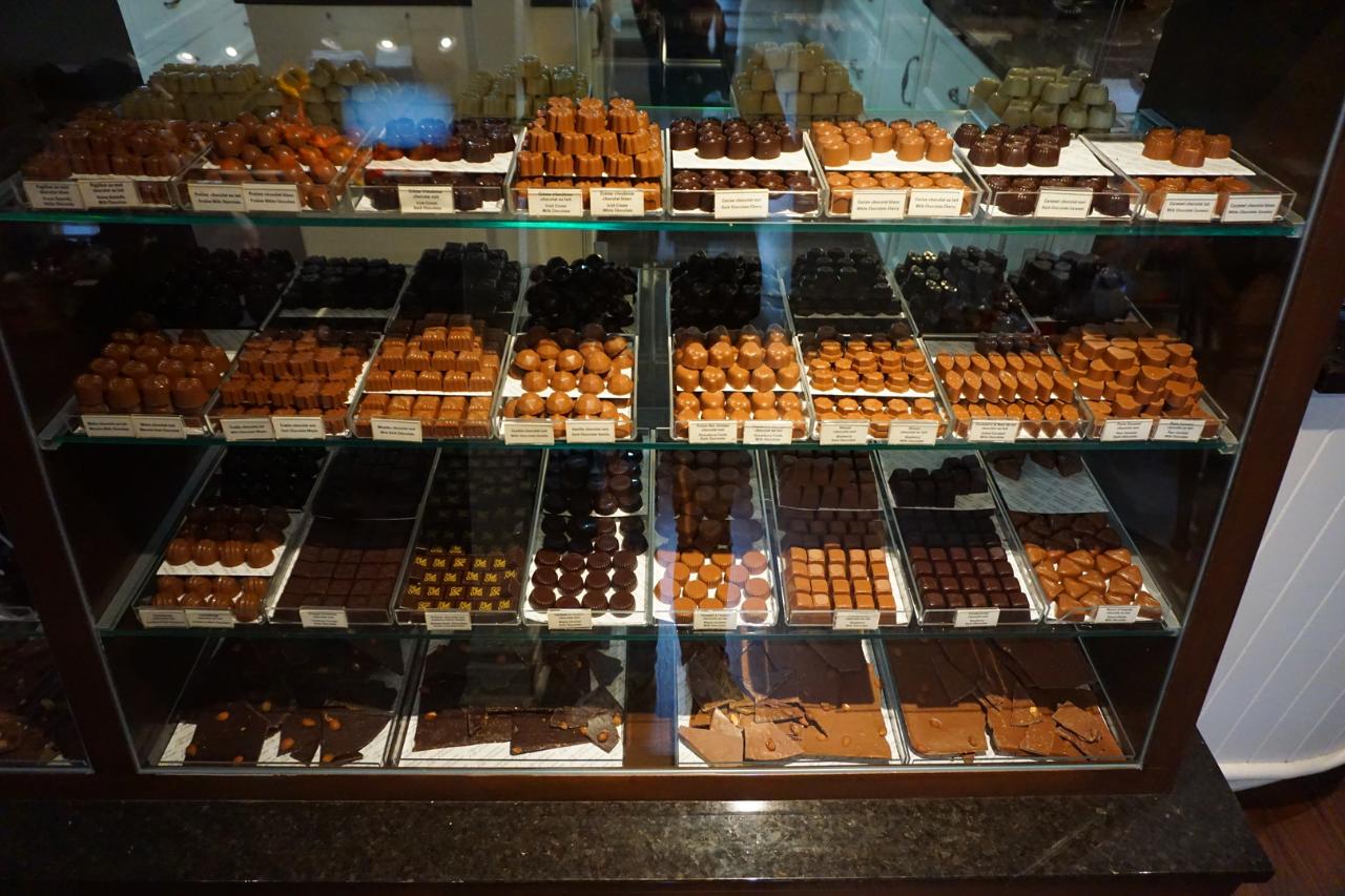 Quebec City ; Visite guidée de l'Île d'Orléans en vélo électrique