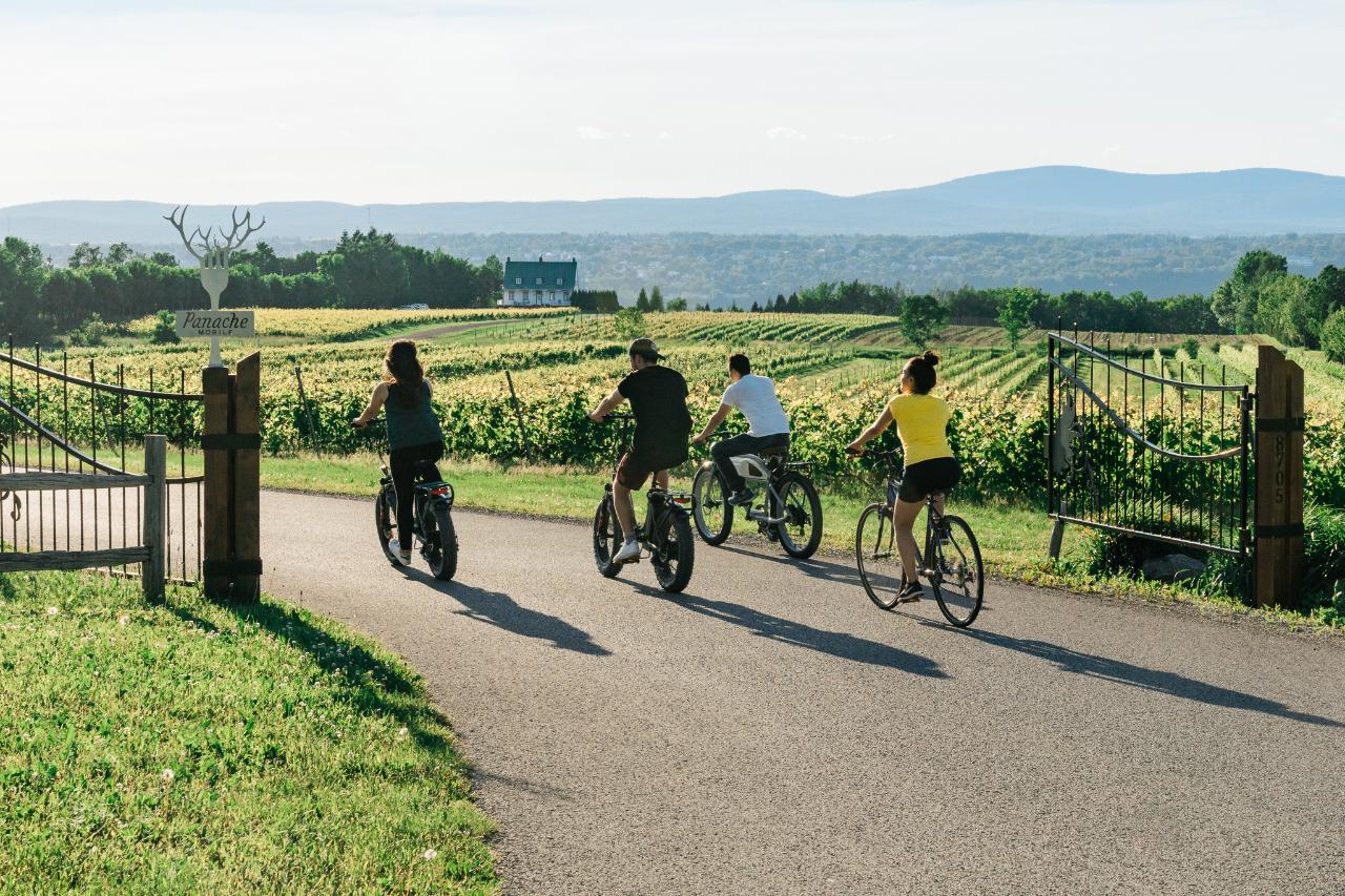 Chocolat, vin et paysages en vélo // Cycle to Chocolate, Wine & Landscapes!