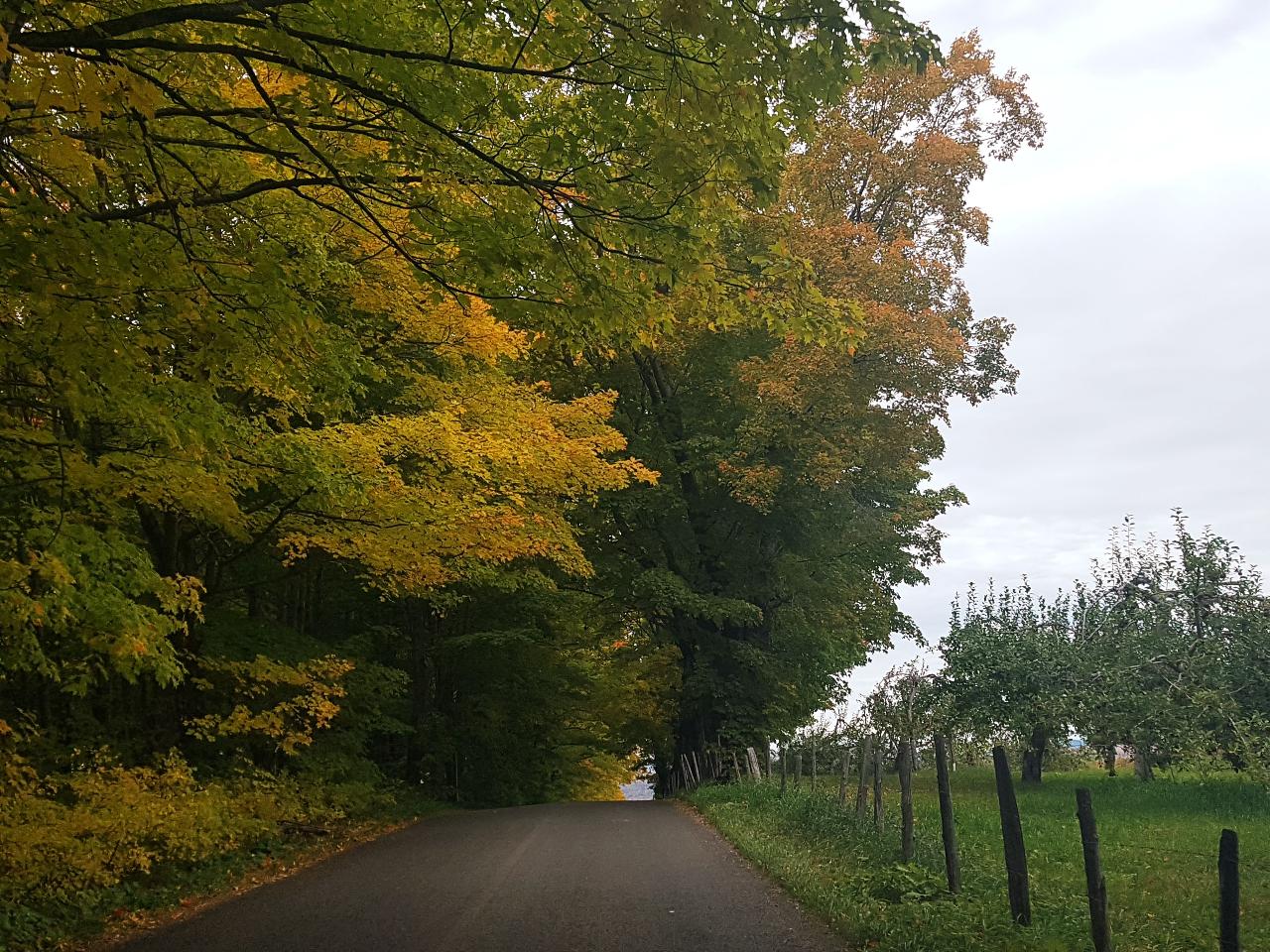 Quebec City ; Location électrique // E Scooter Rental on